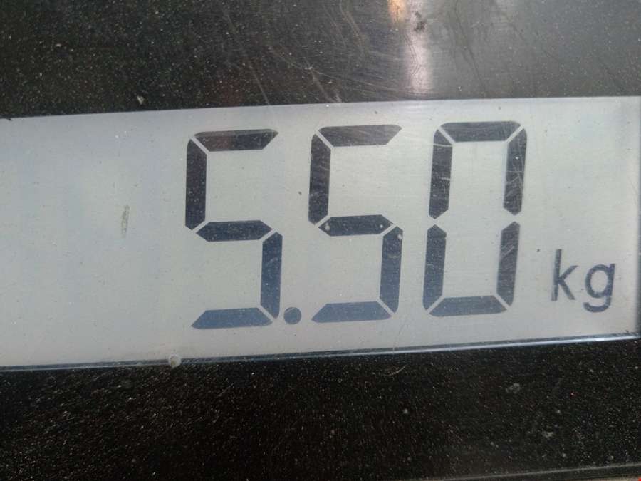 Ступица (кулак цапфа) передняя правая Nissan Micra K12 (2002-2010) Хетчбэк 3дв. 2010г. | Фото № 5 Ступица (кулак цапфа) передняя правая Nissan Micra K12 (2002-2010) Хетчбэк 3дв. 2010г. - Фото 5