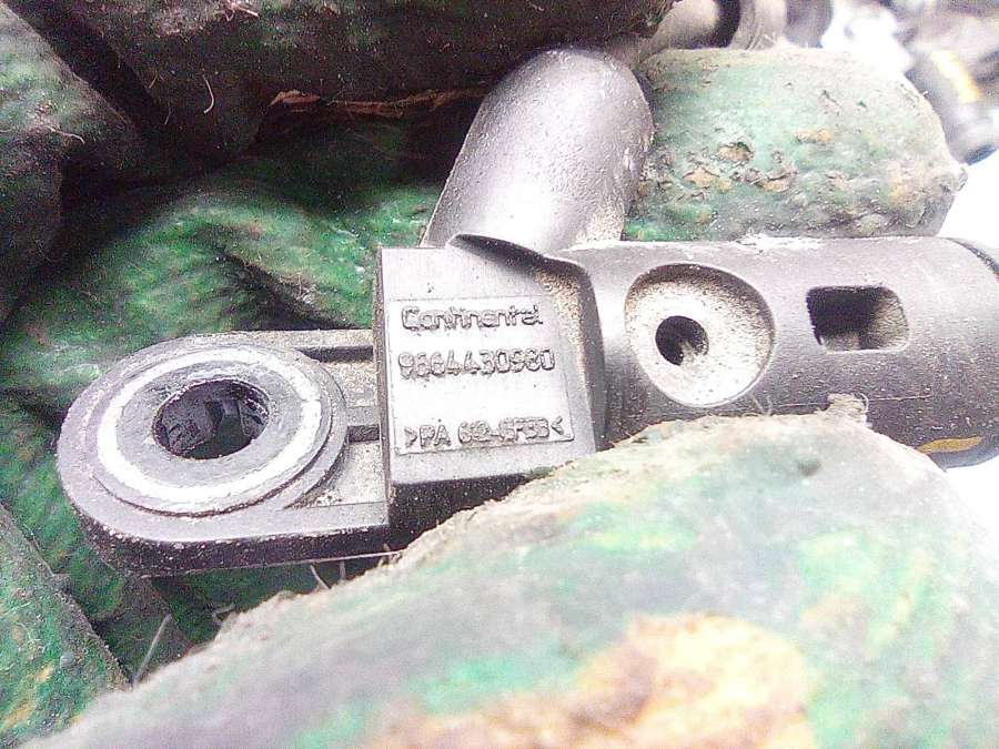 1685774170921920QZ313196219664430980AV6Q12K073AA Датчик распредвала  Citroen C3 Picasso 2010г. | Фото № 4  1685774170921920QZ313196219664430980AV6Q12K073AA Датчик распредвала  Citroen C3 Picasso 2010г. - Фото 4