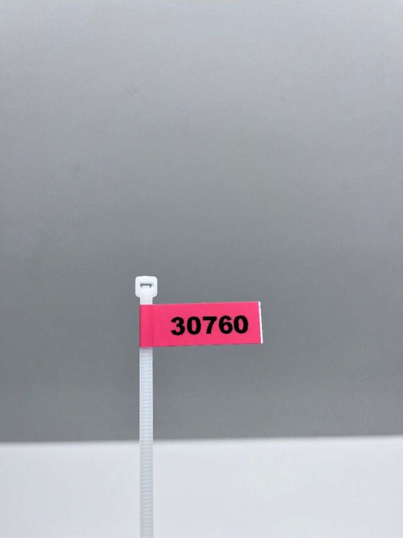 2208210751 Кнопка открытия багажника Mercedes S W220 2002г. | Фото № 5 2208210751 Кнопка открытия багажника Mercedes S W220 2002г. - Фото 5