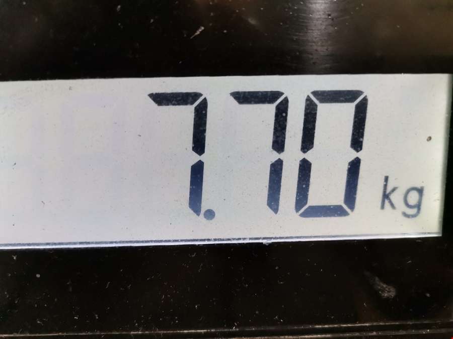 Коллектор выпускной Mitsubishi Colt 4 (1992-1996) Хетчбэк 3дв. 1993г. | Фото № 5 Коллектор выпускной Mitsubishi Colt 4 (1992-1996) Хетчбэк 3дв. 1993г. - Фото 5