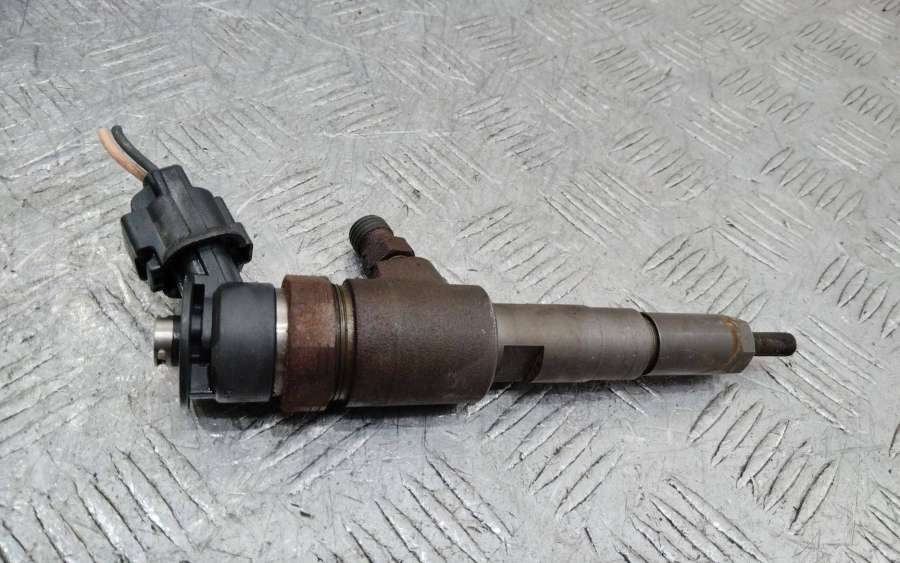 0445110252 Форсунка топливная  Citroen C3 2008г. | Фото № 1  0445110252 Форсунка топливная  Citroen C3 2008г. - Фото 1