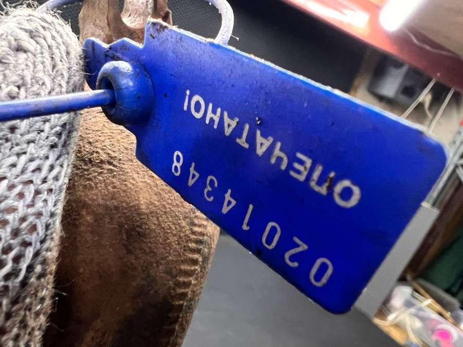 AJ812275LR0351098W93-9431-BB Выпускной коллектор  Jaguar XF X250 CC9 2011г. | Фото № 8  AJ812275LR0351098W93-9431-BB Выпускной коллектор  Jaguar XF X250 CC9 2011г. - Фото 8