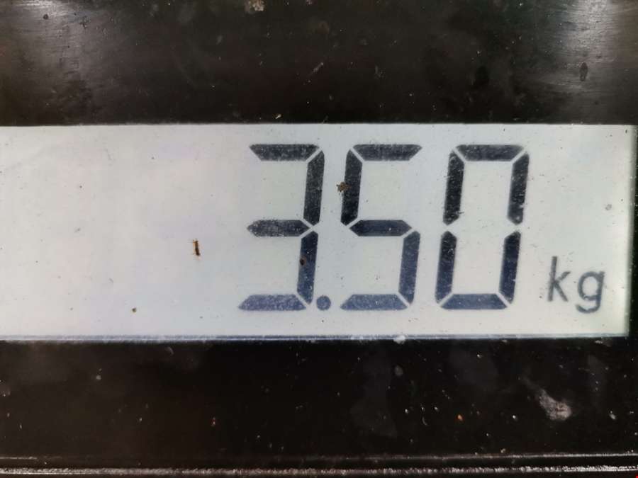 059105251M Шкив коленвала Volkswagen Passat 5 (1996-2000) Седан 1999г. | Фото № 4 059105251M Шкив коленвала Volkswagen Passat 5 (1996-2000) Седан 1999г. - Фото 4