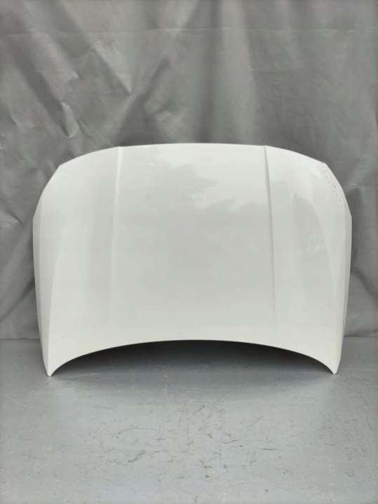 SHN158 Капот  BMW 1 F40 (209-2024) 2019г. | Фото № 1  SHN158 Капот  BMW 1 F40 (209-2024) 2019г. - Фото 1