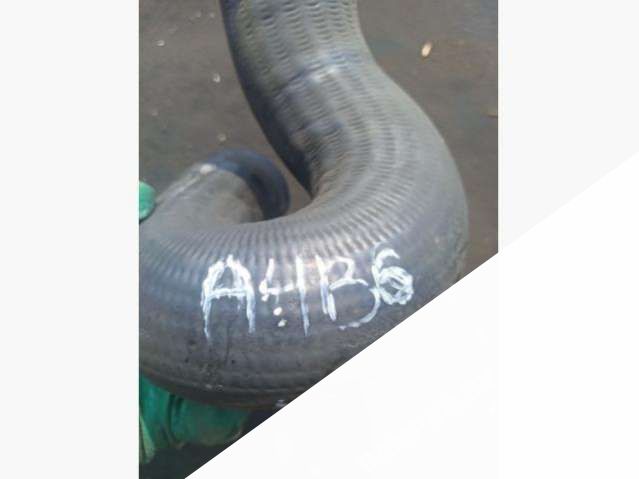 8E0145738F Патрубок интеркулера Audi A4 В6 2003г. | Фото № 5 8E0145738F Патрубок интеркулера Audi A4 В6 2003г. - Фото 5