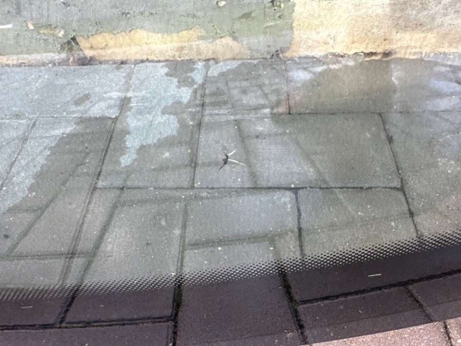 Лобовое стекло Ford Galaxy 1 1998г. | Фото № 2 Лобовое стекло Ford Galaxy 1 1998г. - Фото 2