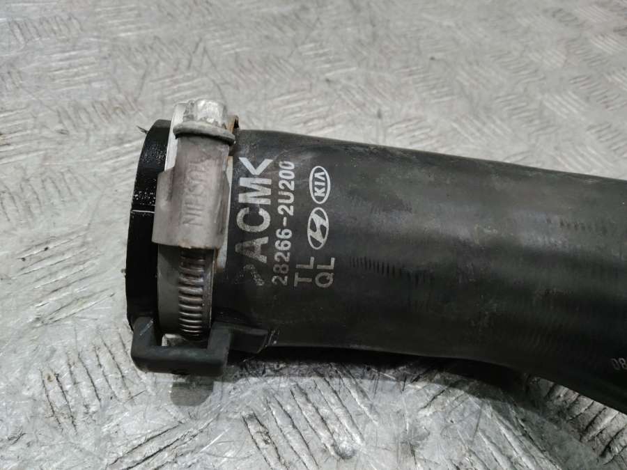 282662U200 Патрубок интеркулера  Kia Sportage 2018г. | Фото № 2  282662U200 Патрубок интеркулера  Kia Sportage 2018г. - Фото 2