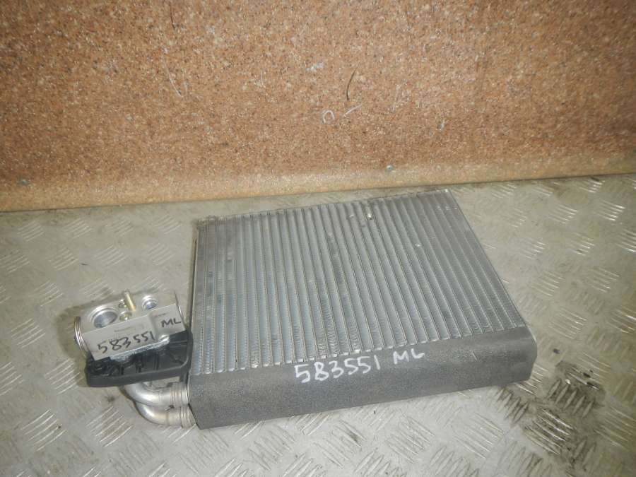 A1648300158 Испаритель кондиционера Mercedes-Benz Mercedes M-Klasse (Ml) (W163/W164/W166) 0000г. | Фото № 1 A1648300158 Испаритель кондиционера Mercedes-Benz Mercedes M-Klasse (Ml) (W163/W164/W166) 0000г. - Фото 1