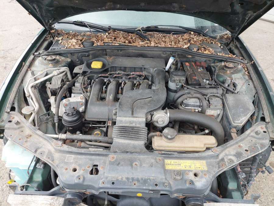 Накладка декоративная (молдинг) стекла двери передней правой Rover 75 (1999-2005) Универсал 2002г. | Фото № 11 Накладка декоративная (молдинг) стекла двери передней правой Rover 75 (1999-2005) Универсал 2002г. - Фото 11