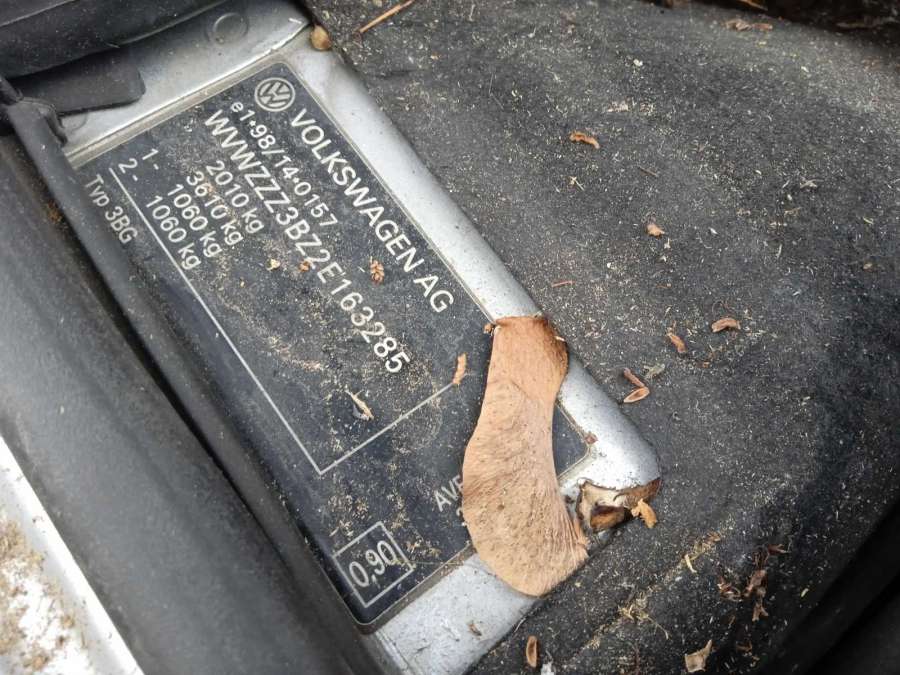 3B1837114 Ручка двери внутренняя передняя правая Volkswagen Passat 5 GP (2000-2005) Универсал 2001г. | Фото № 7 3B1837114 Ручка двери внутренняя передняя правая Volkswagen Passat 5 GP (2000-2005) Универсал 2001г. - Фото 7