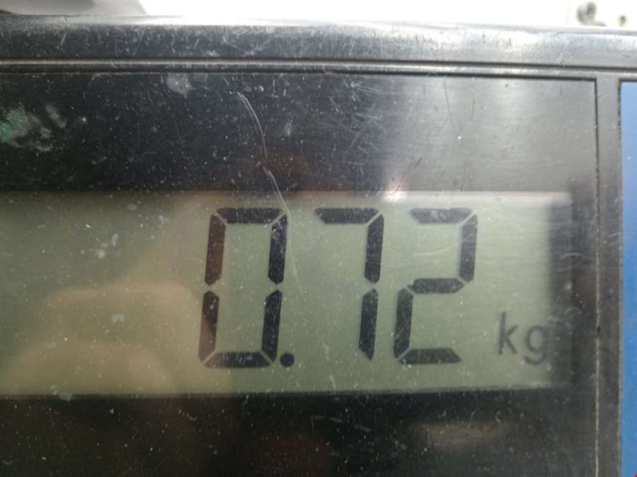 28697803 Плафон салонный BMW X3 (G01/G08) (2017-2023) Внедорожник 5дв. 2018г. | Фото № 7 28697803 Плафон салонный BMW X3 (G01/G08) (2017-2023) Внедорожник 5дв. 2018г. - Фото 7