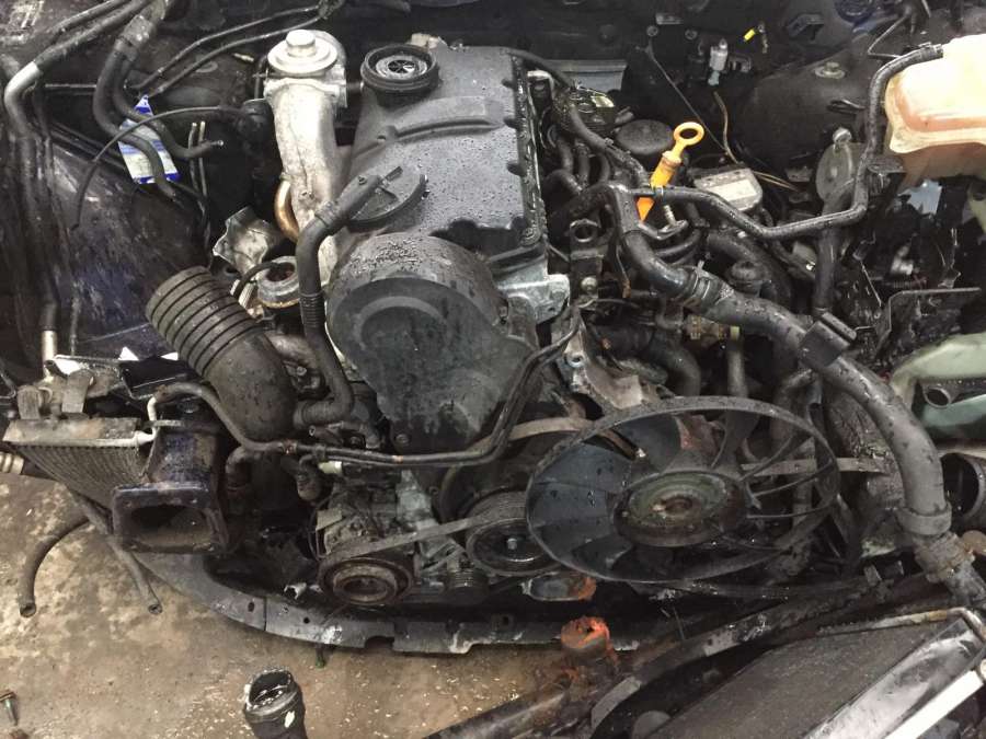 Трубка турбины Volkswagen Passat 5 GP (2000-2005) Универсал 2001г. | Фото № 6 Трубка турбины Volkswagen Passat 5 GP (2000-2005) Универсал 2001г. - Фото 6