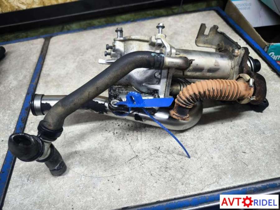 147355713R Радиатор EGR Nissan Qashqai 1 (2006 - 2014) 2012г. | Фото № 1 147355713R Радиатор EGR Nissan Qashqai 1 (2006 - 2014) 2012г. - Фото 1