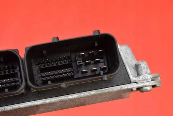 06A906033GL5WP4036104 Блок управления двигателем Volkswagen Golf 5 поколение (2004-2009) 2004г. | Фото № 9 06A906033GL5WP4036104 Блок управления двигателем Volkswagen Golf 5 поколение (2004-2009) 2004г. - Фото 9