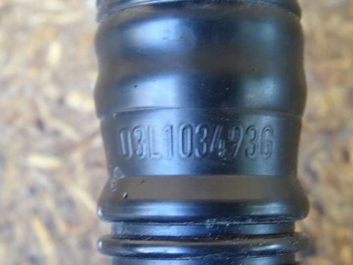 03L103493G Гофра инжектора Audi A3 8P (2003-2005) 2003г. | Фото № 2 03L103493G Гофра инжектора Audi A3 8P (2003-2005) 2003г. - Фото 2