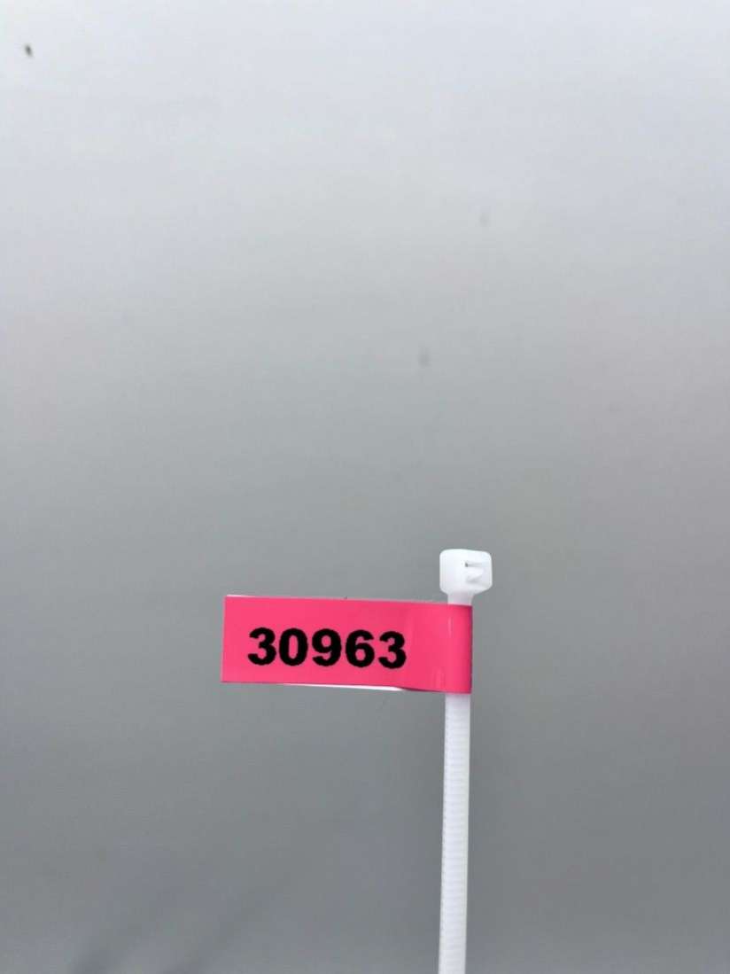 A2208800329 Амортизатор капота Mercedes S W220 2004г. | Фото № 6 A2208800329 Амортизатор капота Mercedes S W220 2004г. - Фото 6