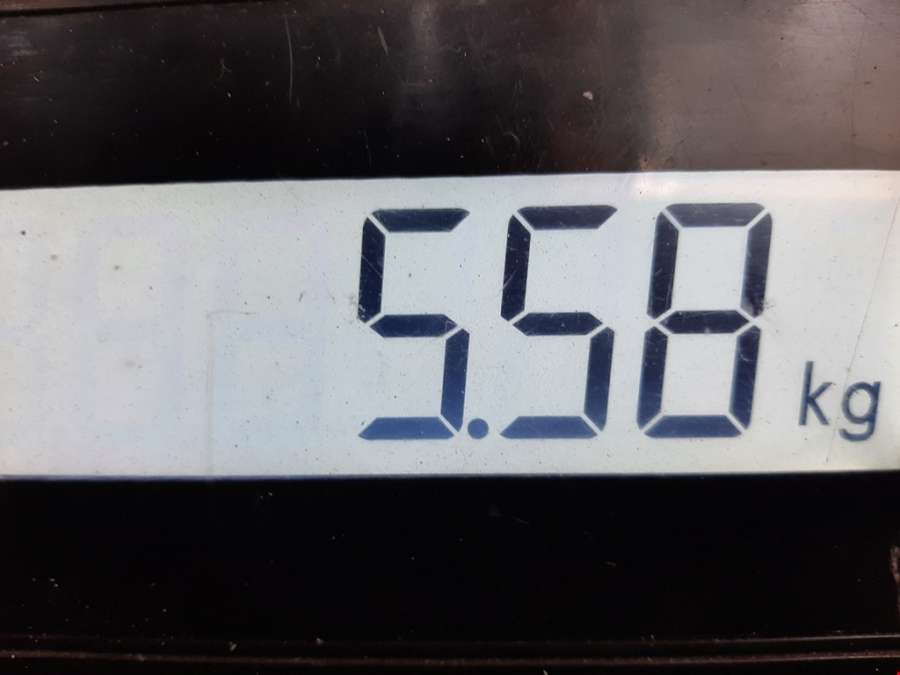 Суппорт передний правый Volkswagen Passat 6 (2005-2010) Универсал 2007г. | Фото № 6 Суппорт передний правый Volkswagen Passat 6 (2005-2010) Универсал 2007г. - Фото 6