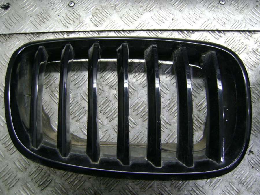 7171395 7171396 Решетка радиатора BMW X5 E70 2007г. | Фото № 8 7171395 7171396 Решетка радиатора BMW X5 E70 2007г. - Фото 8