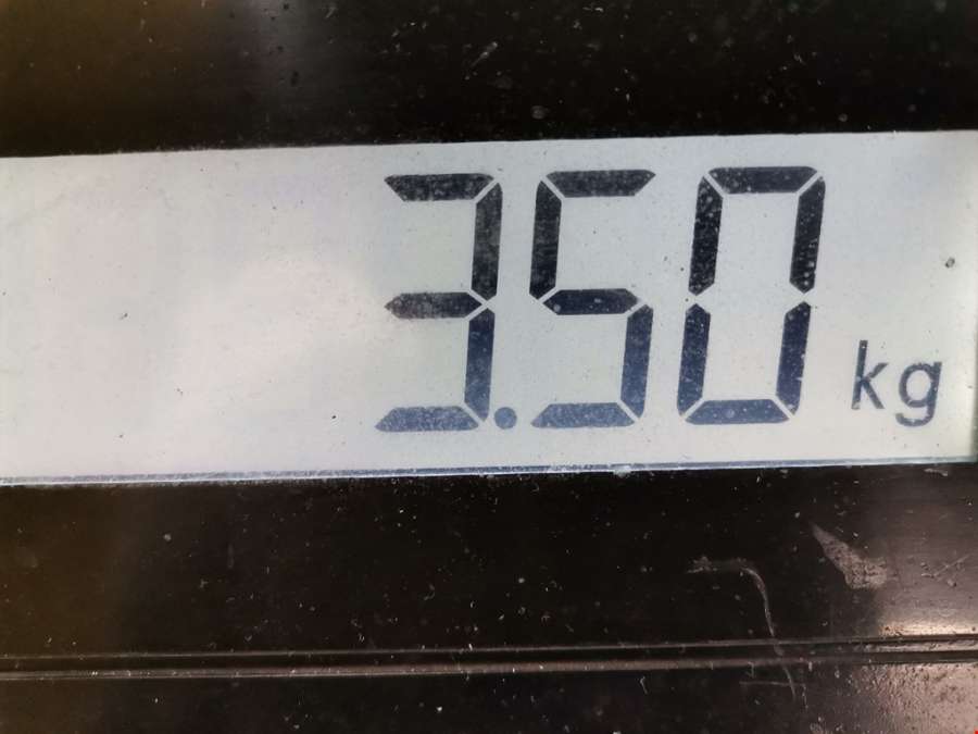 059105251M Шкив коленвала Audi A4 B5 (1994-2001) Универсал 1999г. | Фото № 5 059105251M Шкив коленвала Audi A4 B5 (1994-2001) Универсал 1999г. - Фото 5