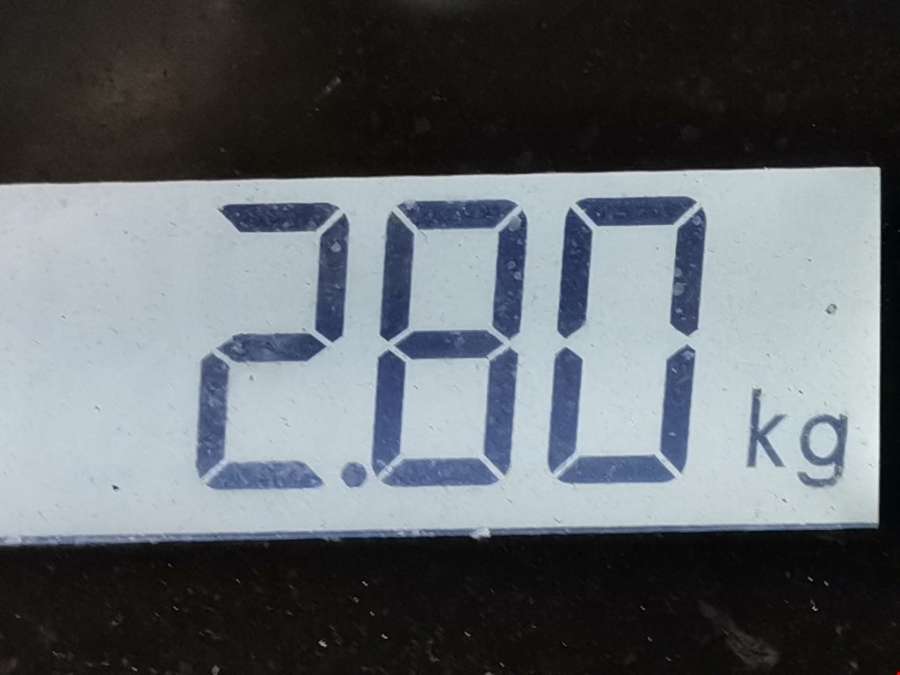 Коллектор выпускной Peugeot Partner 1 (1996-2008) Фургон 2000г. | Фото № 4 Коллектор выпускной Peugeot Partner 1 (1996-2008) Фургон 2000г. - Фото 4