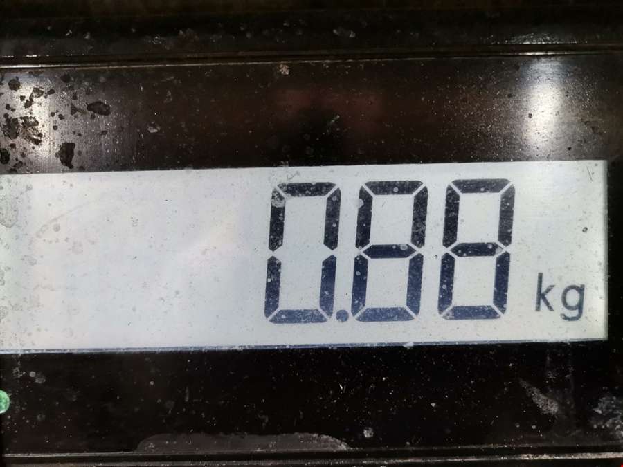 11287524267 Натяжитель ремня генератора (приводного поликлинового ремня BMW 3-Series (E46) (1998-2007) Универсал 2002г. | Фото № 6 11287524267 Натяжитель ремня генератора (приводного поликлинового ремня BMW 3-Series (E46) (1998-2007) Универсал 2002г. - Фото 6